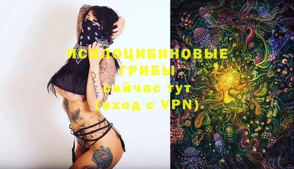 герыч Алексин