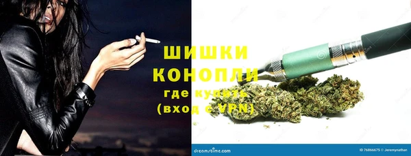 крисы Корсаков